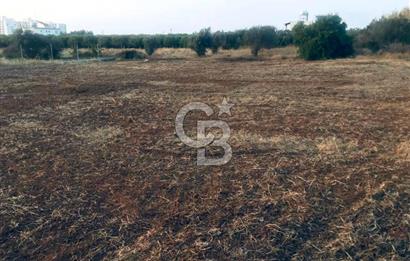 KKTC LEFKE GAZİVEREN KÖYÜ'NDE SATILIK İMARLI ARSA