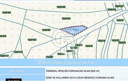 CB TOWER'DAN KANDIRA AĞAÇAĞIL'DA SATILIK 505 M2 FINDIKLIK.