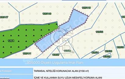 CB TOWER'DAN KANDIRA AĞAÇAĞIL'DA SATILIK 2158 M2 TARLA.