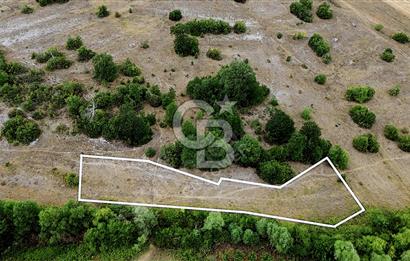 CB TOWER'DAN KANDIRA AĞAÇAĞIL'DA SATILIK 2158 M2 TARLA.