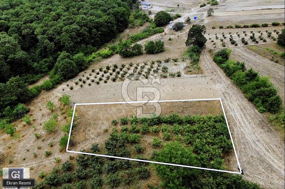 CB TOWER'DAN KANDIRA AĞAÇAĞIL'DA SATILIK 1632 M2 FINDIKLIK.