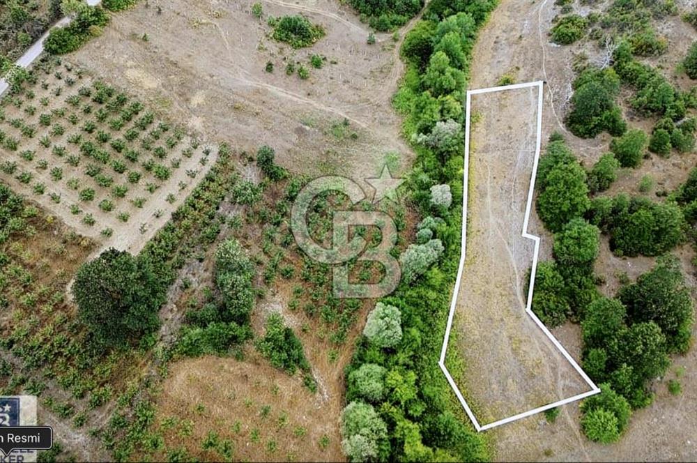 CB TOWER'DAN KANDIRA AĞAÇAĞIL'DA SATILIK 2158 M2 TARLA.