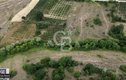 CB TOWER'DAN KANDIRA AĞAÇAĞIL'DA SATILIK 2158 M2 TARLA.