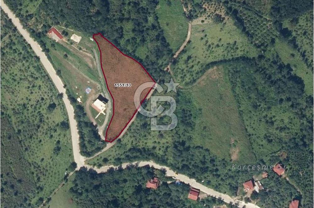 ORDU PERŞEMBE ÇERLİ MAHALLESİNDE SATILIK 5,5 DÖNÜM FINDIK BAHÇESİ