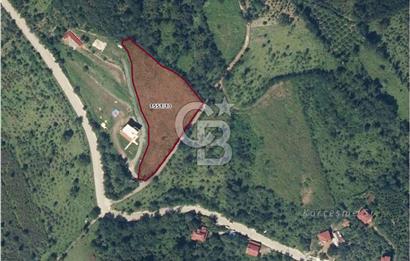 ORDU PERŞEMBE ÇERLİ MAHALLESİNDE SATILIK 5,5 DÖNÜM FINDIK BAHÇESİ