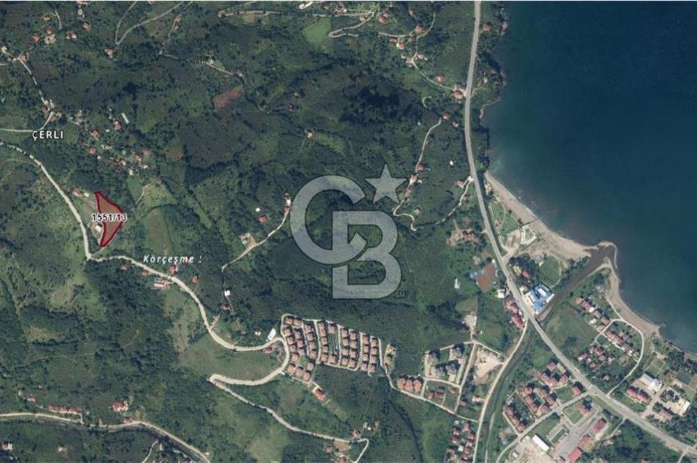 ORDU PERŞEMBE ÇERLİ MAHALLESİNDE SATILIK 5,5 DÖNÜM FINDIK BAHÇESİ