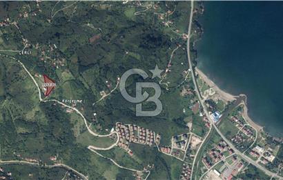 ORDU PERŞEMBE ÇERLİ MAHALLESİNDE SATILIK 5,5 DÖNÜM FINDIK BAHÇESİ
