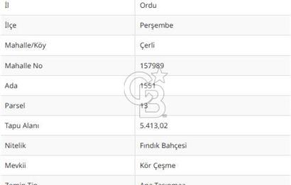 ORDU PERŞEMBE ÇERLİ MAHALLESİNDE SATILIK 5,5 DÖNÜM FINDIK BAHÇESİ