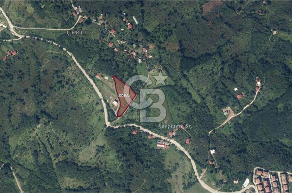 ORDU PERŞEMBE ÇERLİ MAHALLESİNDE SATILIK 5,5 DÖNÜM FINDIK BAHÇESİ