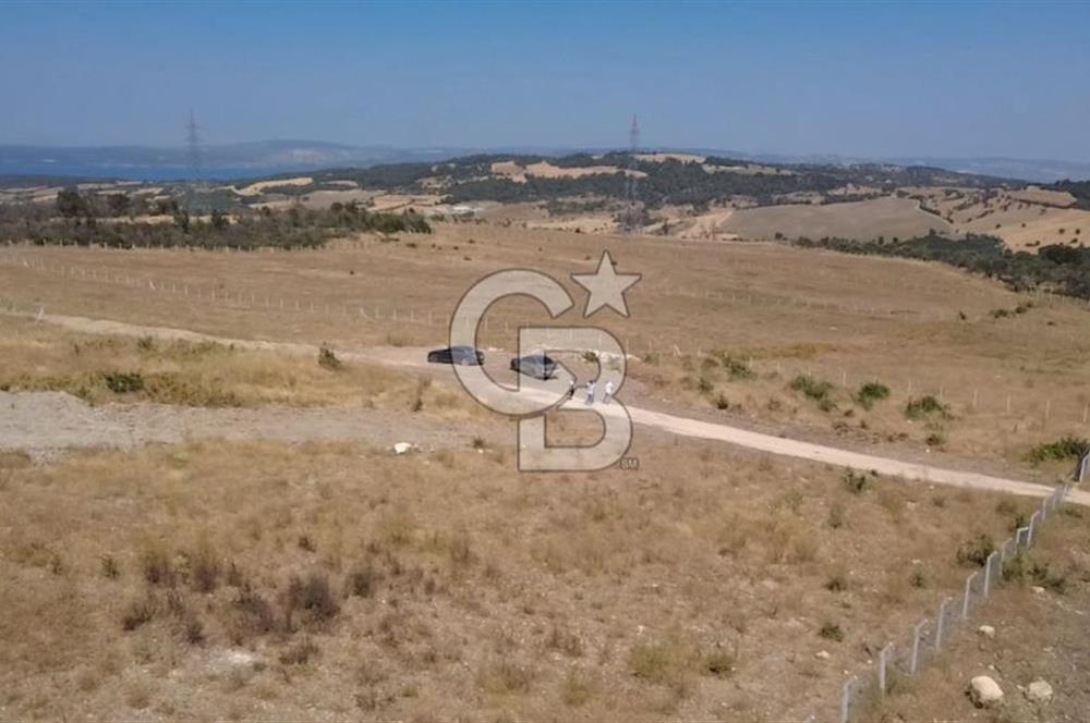 Çanakkale Kızılkeçilide EkoTurizm Ruhsatlı Villalar