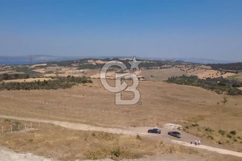 Çanakkale Kızılkeçilide EkoTurizm Ruhsatlı Villalar