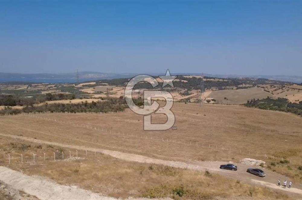 Çanakkale Kızılkeçilide EkoTurizm Ruhsatlı Villalar
