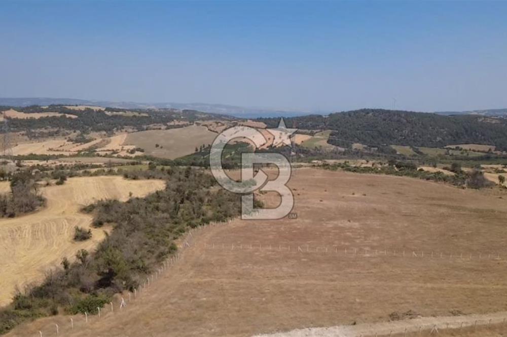 Çanakkale Kızılkeçilide EkoTurizm Ruhsatlı Villalar