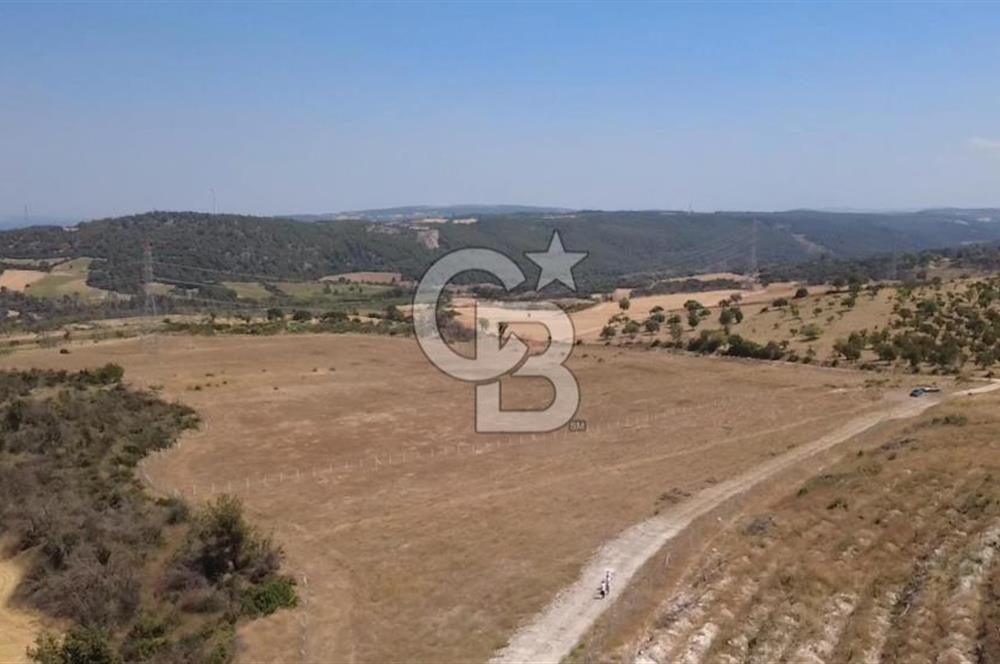 Çanakkale Kızılkeçilide EkoTurizm Ruhsatlı Villalar