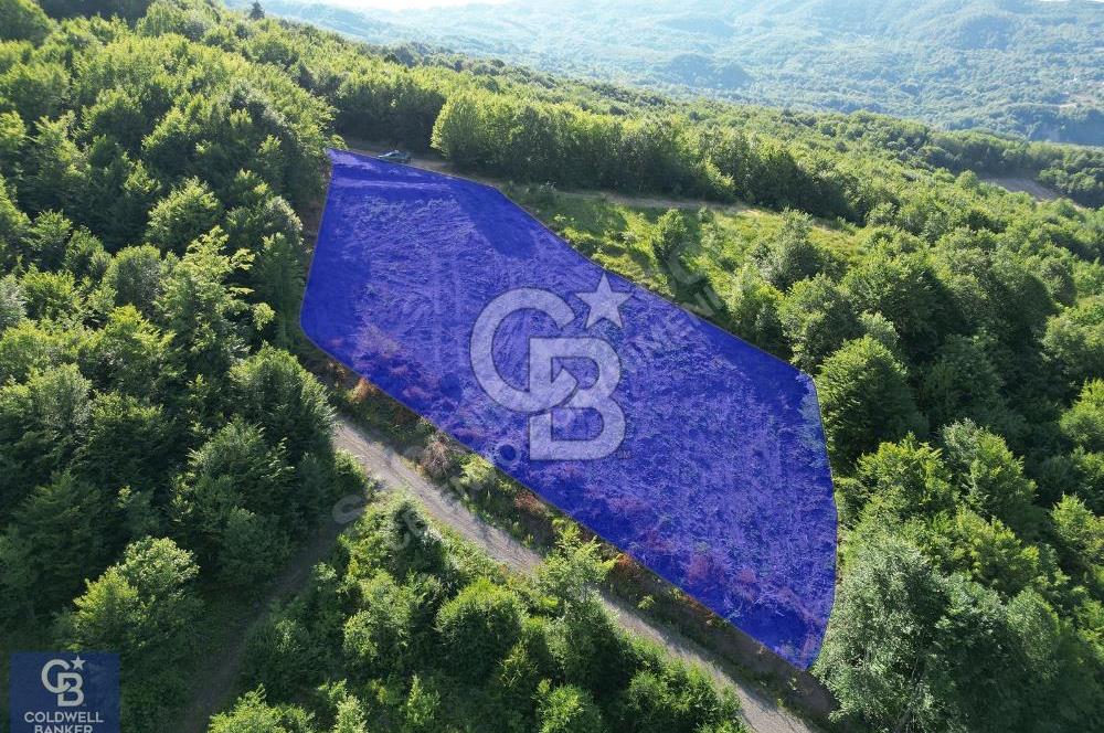 CB ENVOY'dan Gölcük İrşadiye'de Doğanın Kalbinde 2.311m2 Tarla