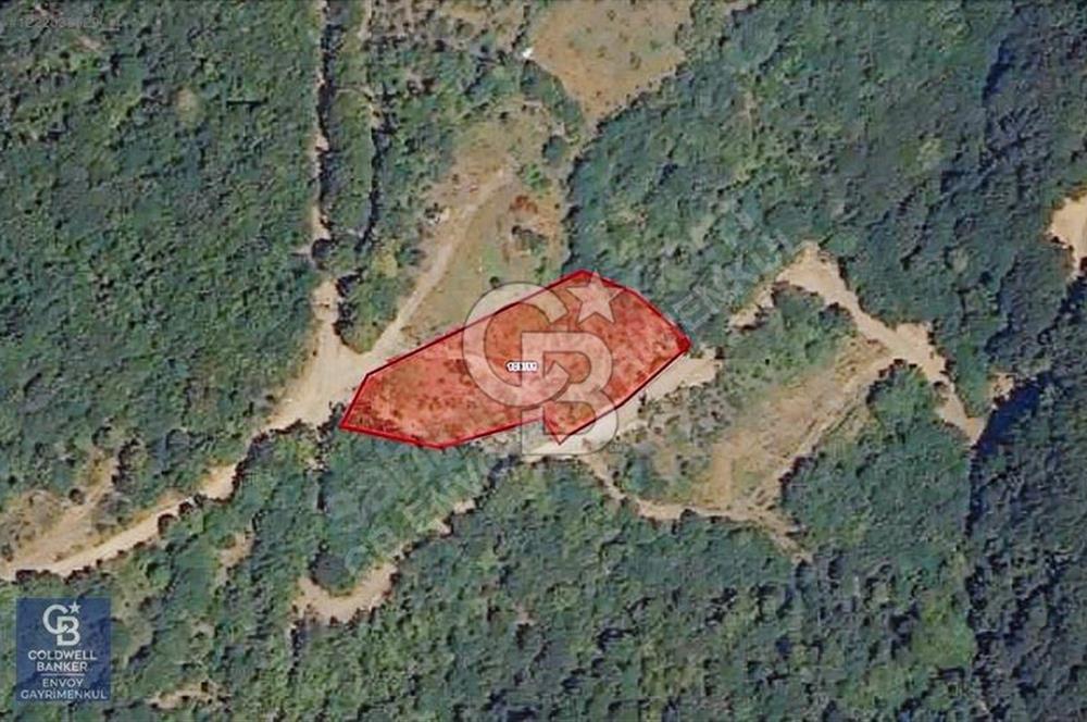 CB ENVOY'dan Gölcük İrşadiye'de Doğanın Kalbinde 2.311m2 Tarla