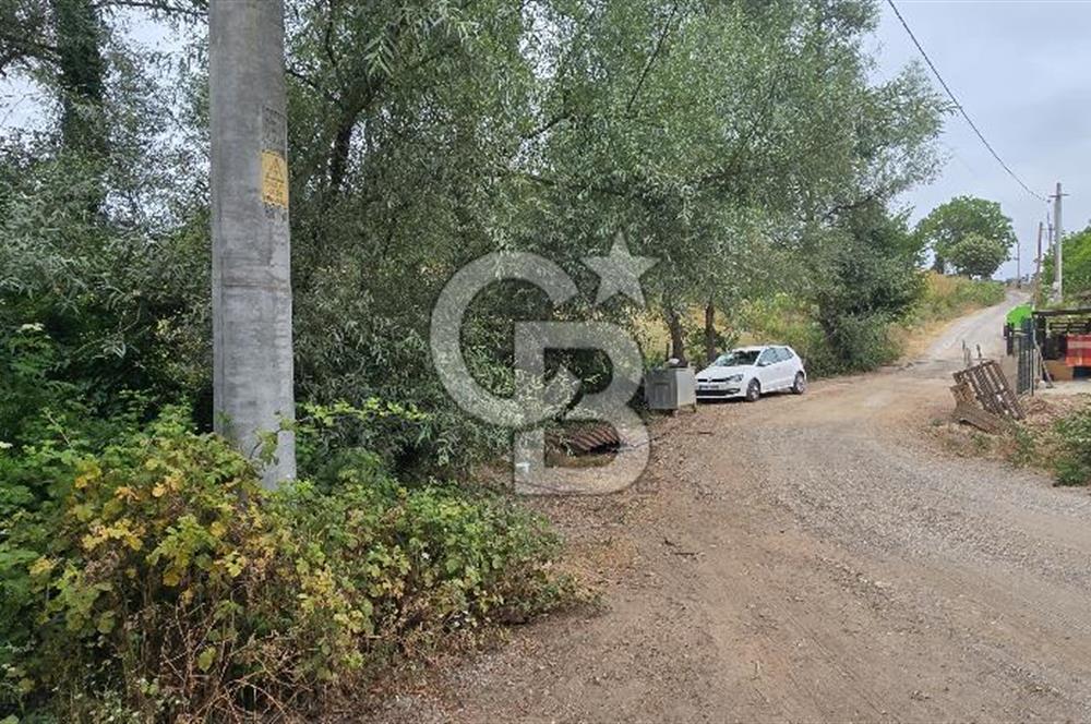 KÖRFEZ ELMACIK KÖYÜ SATILIK 1547 M2 MÜSTAKİL ARSA