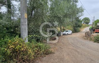 KÖRFEZ ELMACIK KÖYÜ SATILIK 1547 M2 MÜSTAKİL ARSA