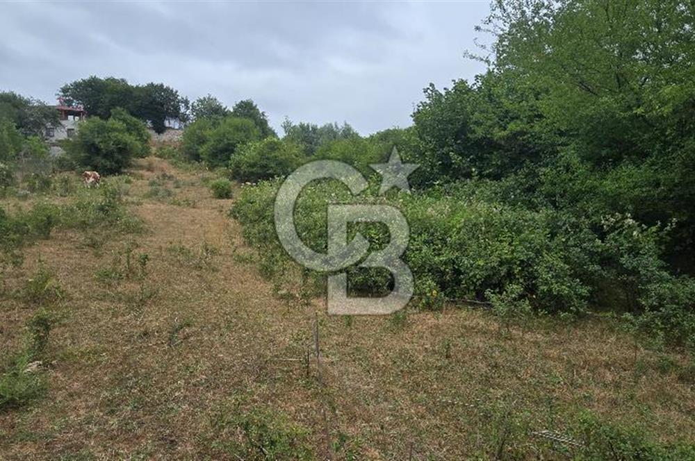 KÖRFEZ ELMACIK KÖYÜ SATILIK 1547 M2 MÜSTAKİL ARSA