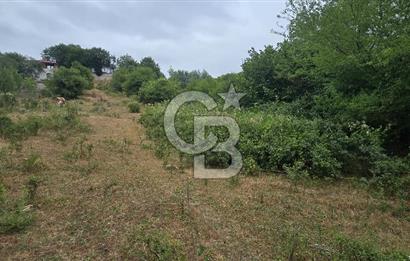 KÖRFEZ ELMACIK KÖYÜ SATILIK 1547 M2 MÜSTAKİL ARSA