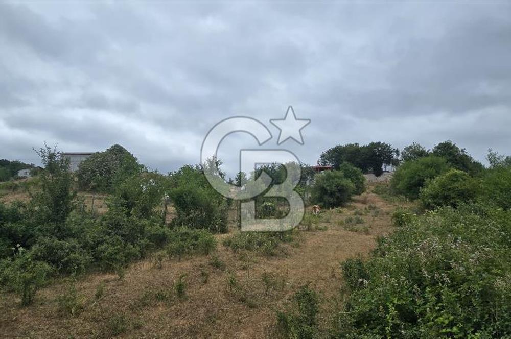 KÖRFEZ ELMACIK KÖYÜ SATILIK 1547 M2 MÜSTAKİL ARSA