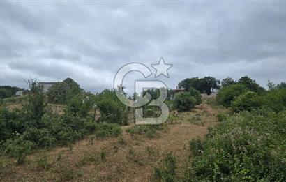 KÖRFEZ ELMACIK KÖYÜ SATILIK 1547 M2 MÜSTAKİL ARSA