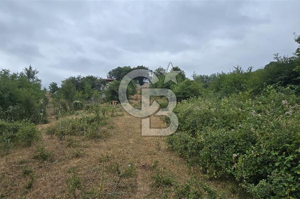 KÖRFEZ ELMACIK KÖYÜ SATILIK 1547 M2 MÜSTAKİL ARSA