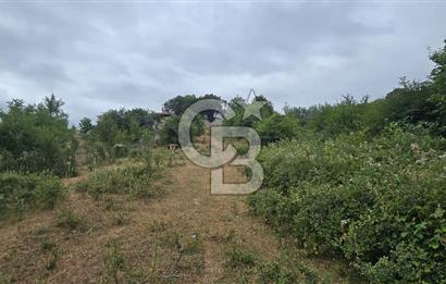 KÖRFEZ ELMACIK KÖYÜ SATILIK 1547 M2 MÜSTAKİL ARSA