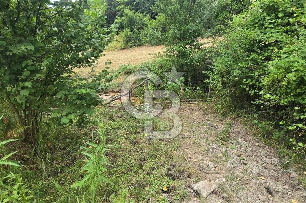 KÖRFEZ ELMACIK KÖYÜ SATILIK 1547 M2 MÜSTAKİL ARSA