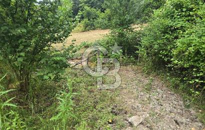 KÖRFEZ ELMACIK KÖYÜ SATILIK 1547 M2 MÜSTAKİL ARSA