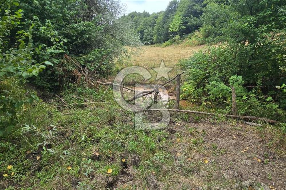 KÖRFEZ ELMACIK KÖYÜ SATILIK 1547 M2 MÜSTAKİL ARSA