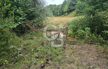 KÖRFEZ ELMACIK KÖYÜ SATILIK 1547 M2 MÜSTAKİL ARSA