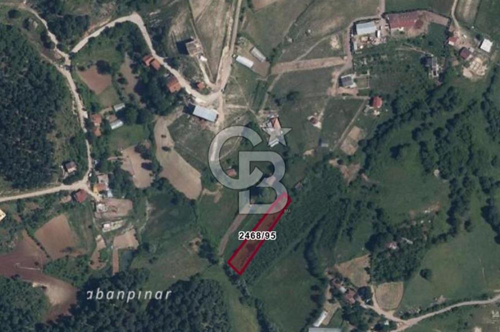 KÖRFEZ ELMACIK KÖYÜ SATILIK 1547 M2 MÜSTAKİL ARSA