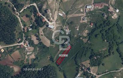 KÖRFEZ ELMACIK KÖYÜ SATILIK 1547 M2 MÜSTAKİL ARSA