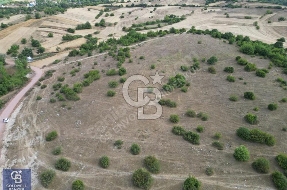 CB ENVOY'dan Kandıra Duraçali'de 9.571m2 Tarla