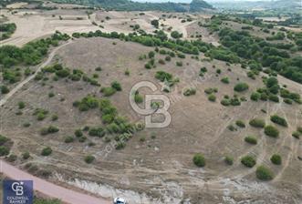 CB ENVOY'dan Kandıra Duraçali'de 9.571m2 Tarla