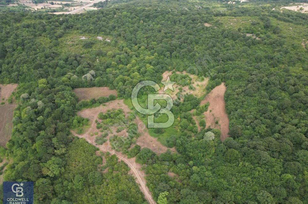 CB ENVOY'dan Kandıra Kızılcapınar'da 21.928m2 Tarla