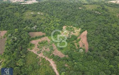 CB ENVOY'dan Kandıra Kızılcapınar'da 21.928m2 Tarla
