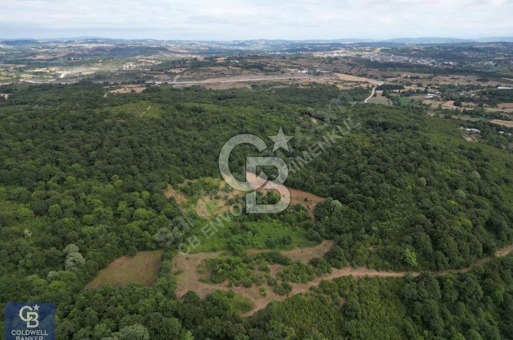 CB ENVOY'dan Kandıra Kızılcapınar'da 21.928m2 Tarla