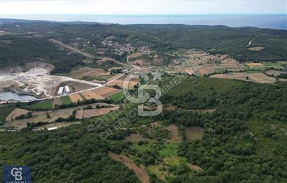 CB ENVOY'dan Kandıra Kızılcapınar'da 21.928m2 Tarla