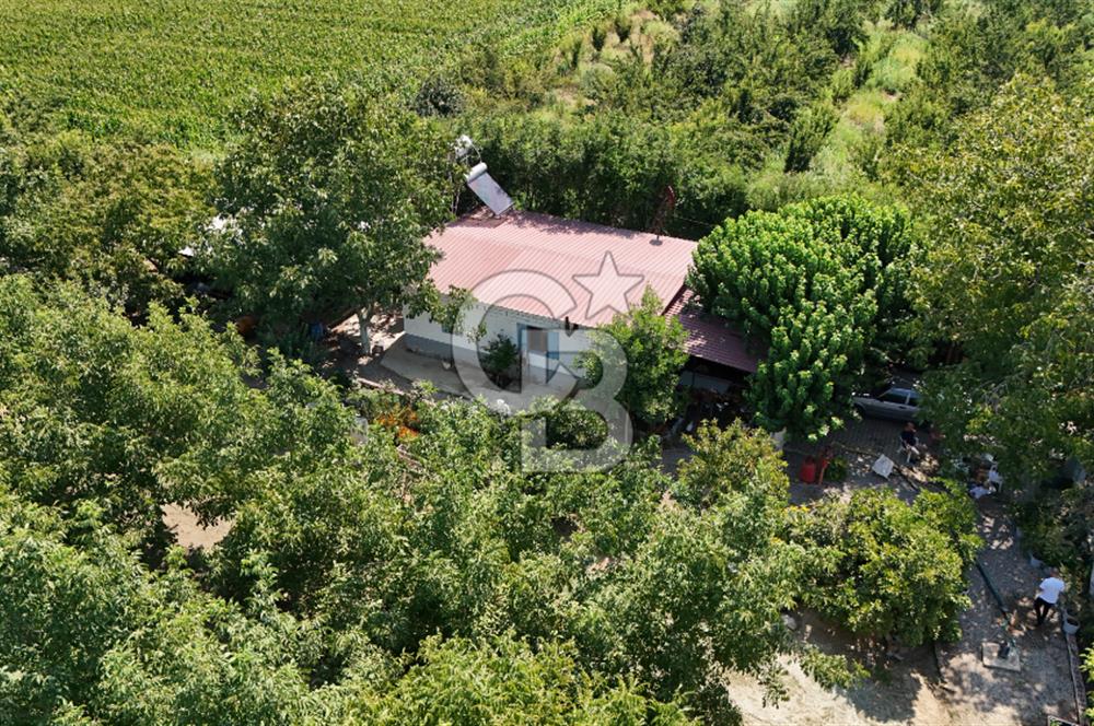 İzmir Bayındır'da, İçerisinde  240 Ceviz Ağacı ve Ev Olan Satılık Tarla