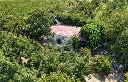 İzmir Bayındır'da, İçerisinde  240 Ceviz Ağacı ve Ev Olan Satılık Tarla