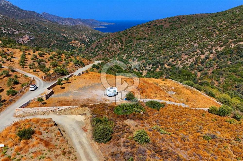 🌿 DATÇA / CUMALI DEĞİRMENBÜKÜ’NDE DOĞA VE DENİZLE İÇ İÇE BİR YAŞAM! 🌿