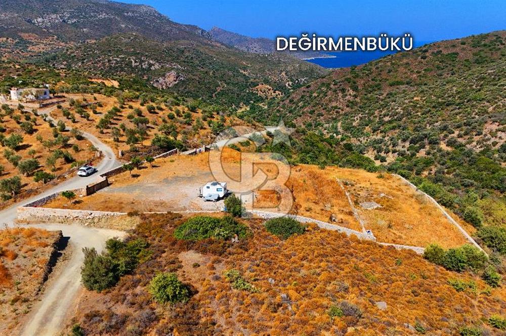 🌿 DATÇA / CUMALI DEĞİRMENBÜKÜ’NDE DOĞA VE DENİZLE İÇ İÇE BİR YAŞAM! 🌿