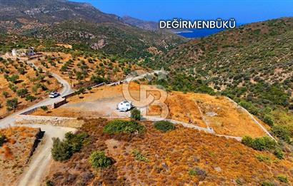 🌿 DATÇA / CUMALI DEĞİRMENBÜKÜ’NDE DOĞA VE DENİZLE İÇ İÇE BİR YAŞAM! 🌿