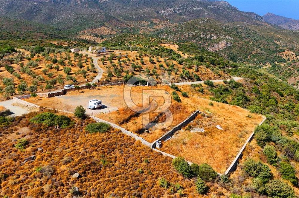 🌿 DATÇA / CUMALI DEĞİRMENBÜKÜ’NDE DOĞA VE DENİZLE İÇ İÇE BİR YAŞAM! 🌿
