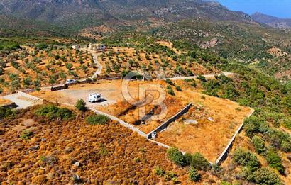🌿 DATÇA / CUMALI DEĞİRMENBÜKÜ’NDE DOĞA VE DENİZLE İÇ İÇE BİR YAŞAM! 🌿