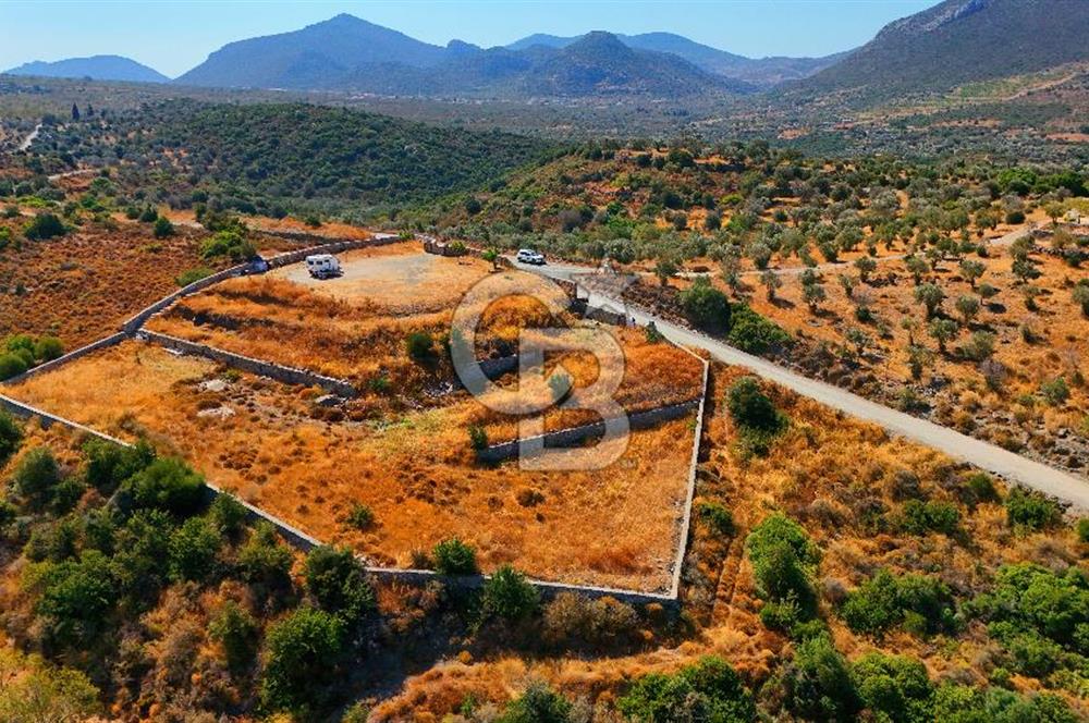 🌿 DATÇA / CUMALI DEĞİRMENBÜKÜ’NDE DOĞA VE DENİZLE İÇ İÇE BİR YAŞAM! 🌿