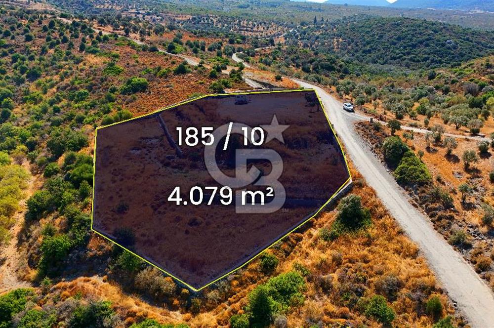 🌿 DATÇA / CUMALI DEĞİRMENBÜKÜ’NDE DOĞA VE DENİZLE İÇ İÇE BİR YAŞAM! 🌿