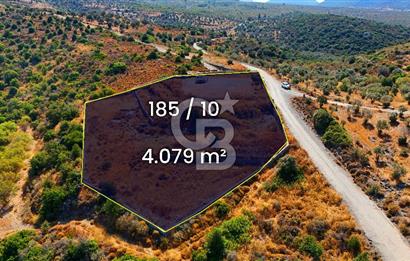 🌿 DATÇA / CUMALI DEĞİRMENBÜKÜ’NDE DOĞA VE DENİZLE İÇ İÇE BİR YAŞAM! 🌿